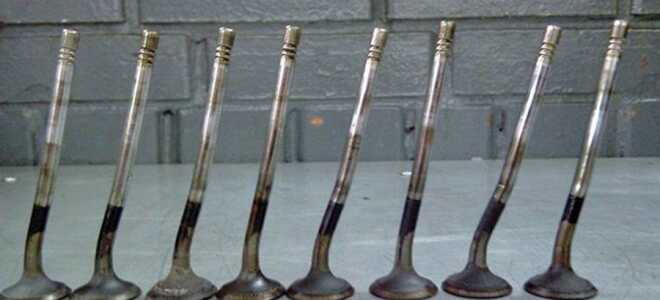 Замена ремня ГРМ Ford Focus 1