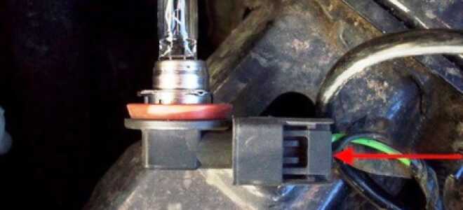 Лампы Ford Focus