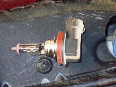 ford_focus_zamena_lamp_2